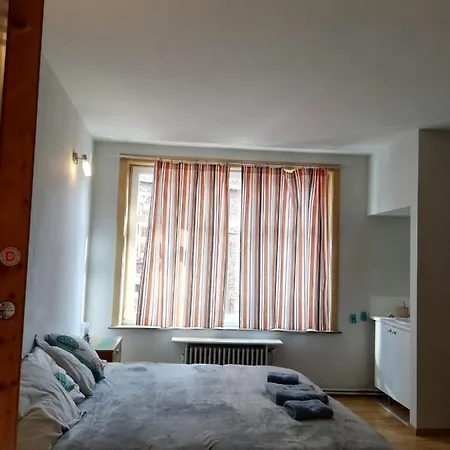Grand Lumineux Avec Vue Du Beffroi * モンス